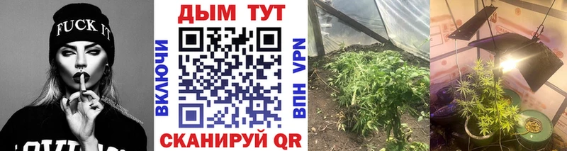 Каннабис Ganja  Салаир 